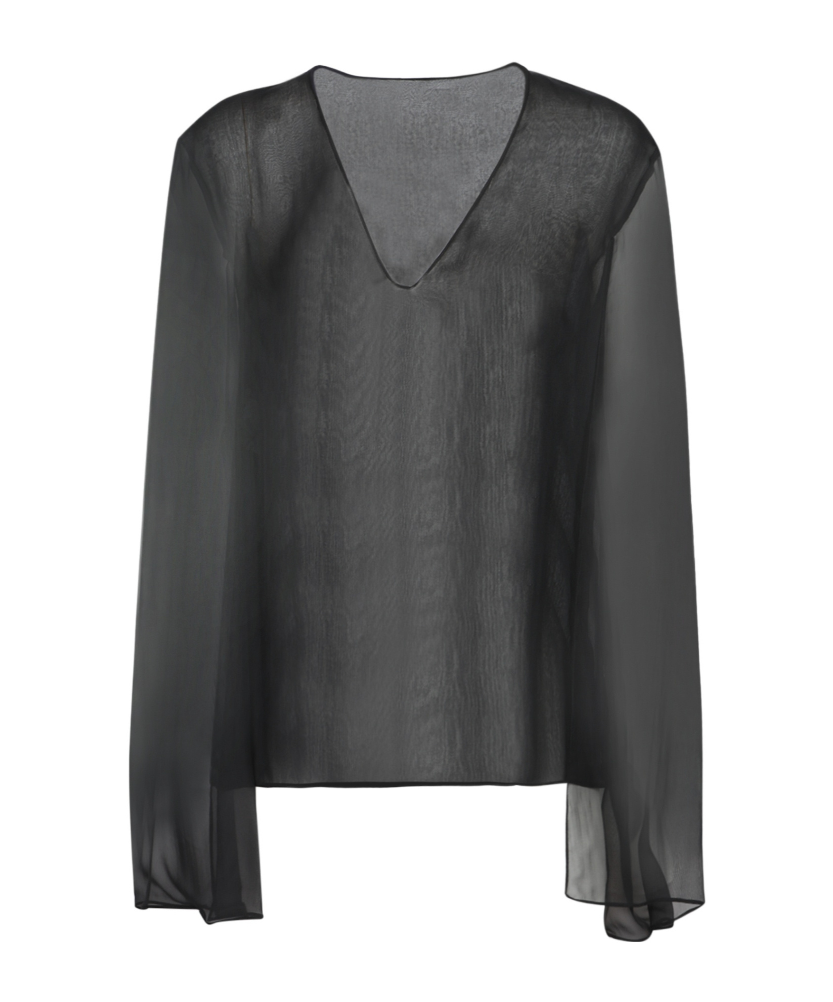 Alberta Ferretti V-neck Sheer Blouse In Black