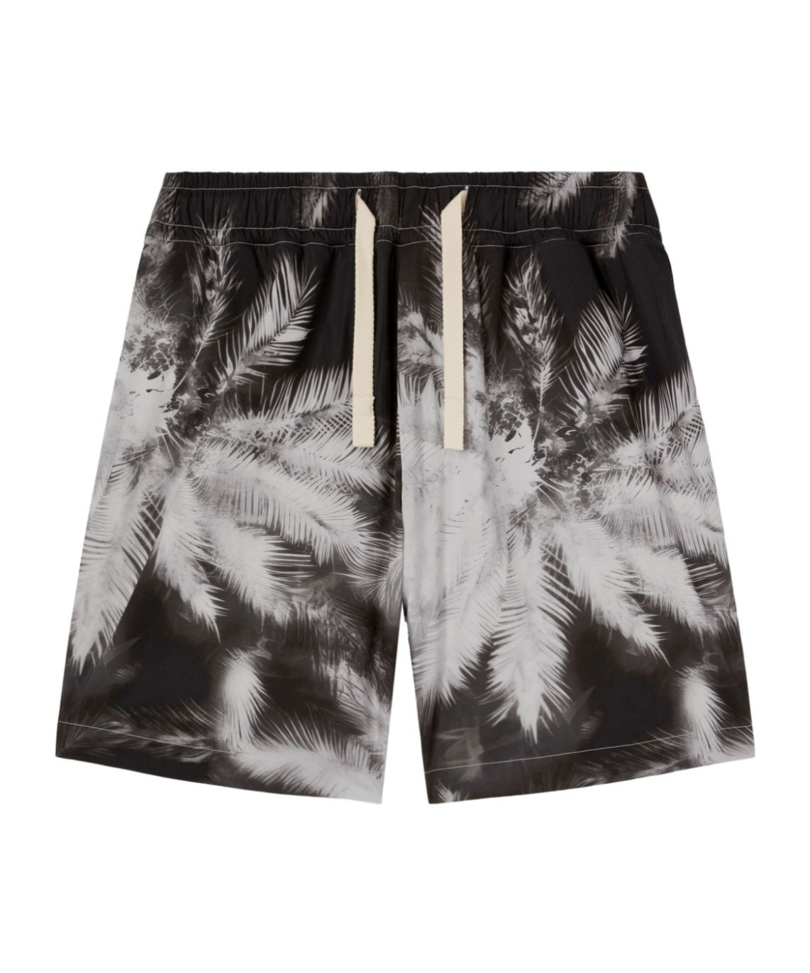Palm Angels Bluprint Palms Shorts In Black