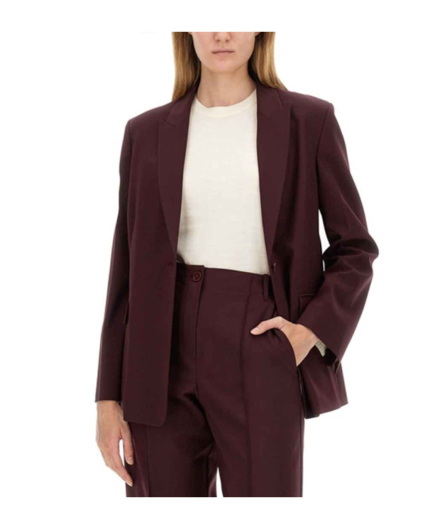 Alysi Single-breasted Blazer In Brown