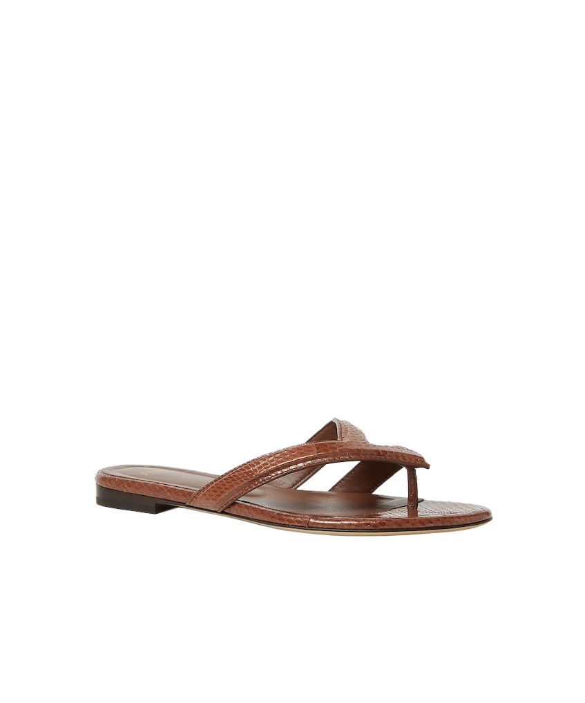 Fendi Women Infradito Ayers Sandals In Brown
