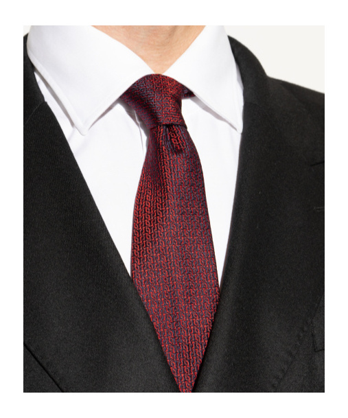 Ferragamo Pointed Tie