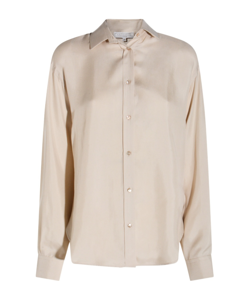 Antonelli Button-down Long-sleeved Shirt In Brown