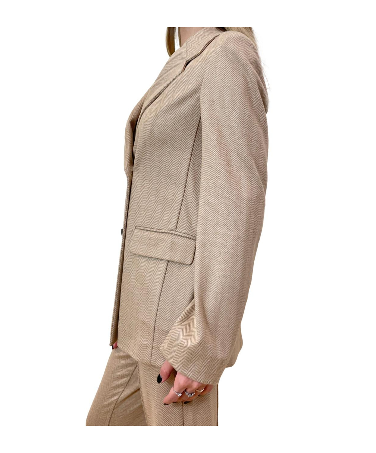 Max Mara Long-sleeved Suit Jacket In Brown
