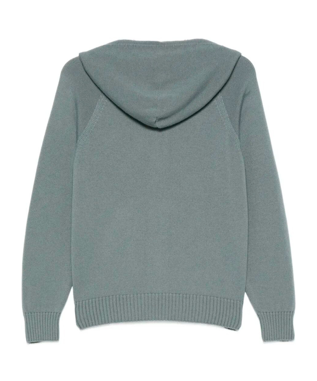 Drumohr Hooded Zip-up Sweater In Green