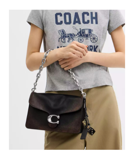 Coach Chain Tabby Shoulder Bag In Loved Leather