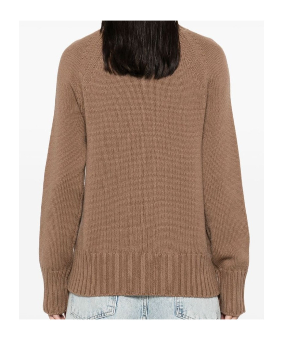 Max Mara Wool And Cashmere Turtleneck In Brown