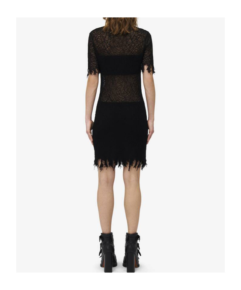 Alexander Mcqueen Lace Dress With Cotton Inserts And Organic Silk In Black