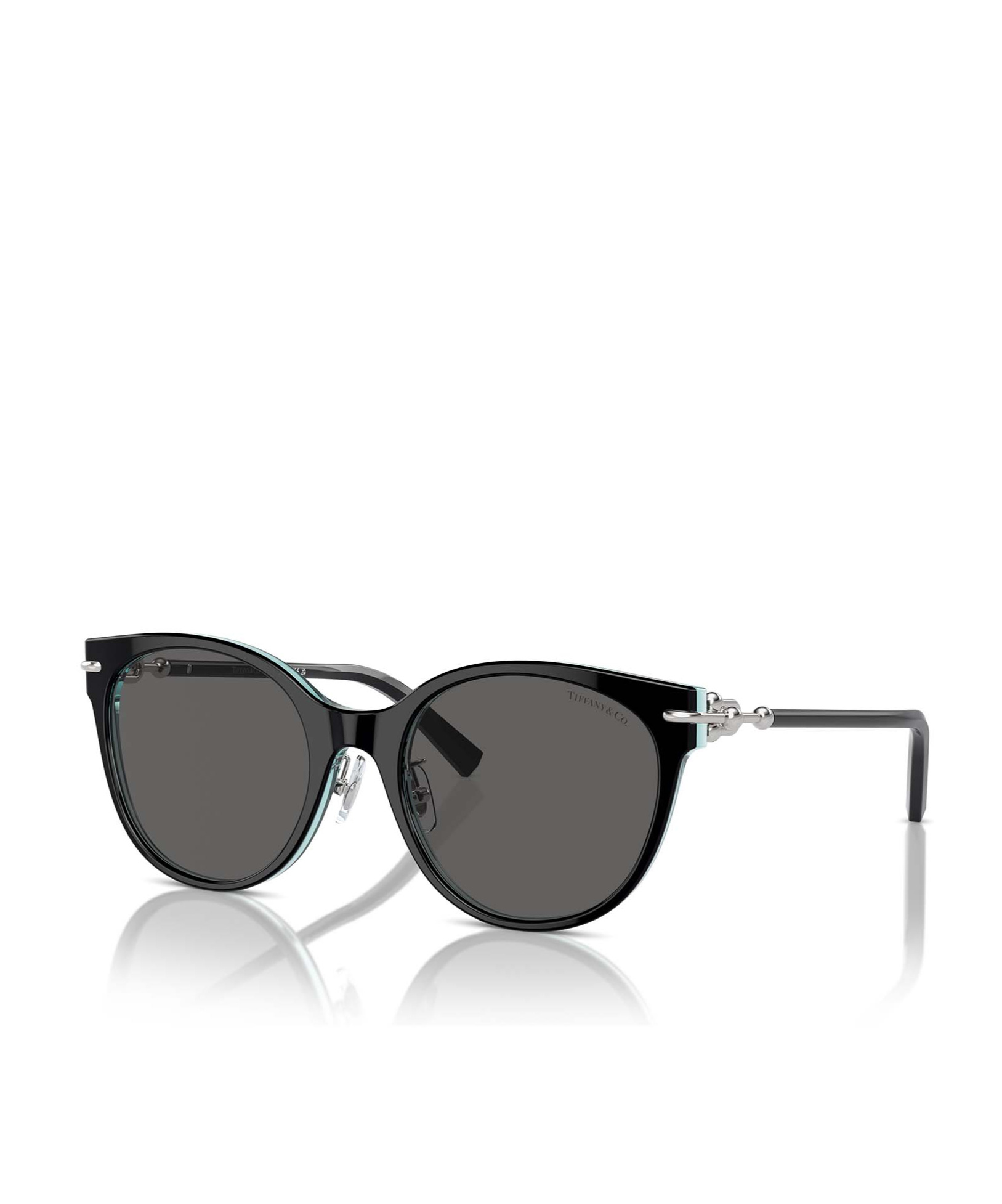 Tiffany & Co Full Frame Sunglasses In Black