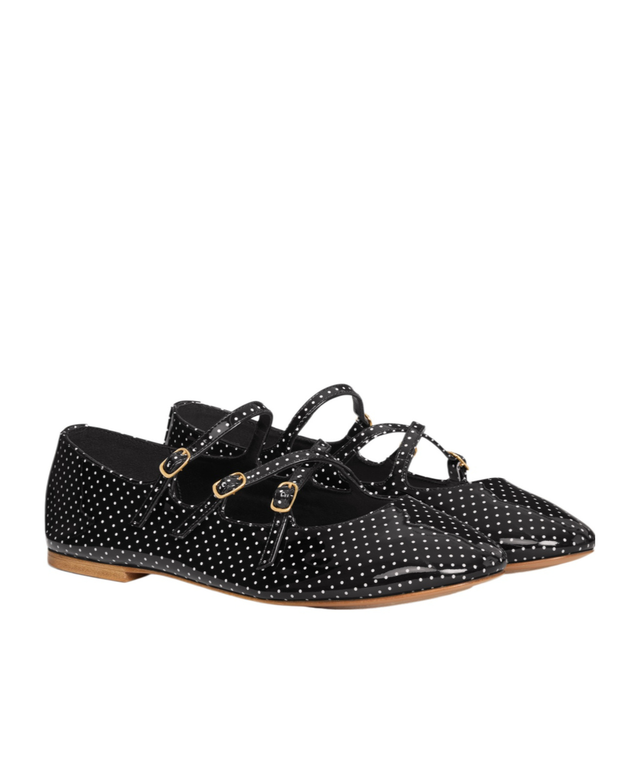 Celine Dot Printed Ballet Shoes