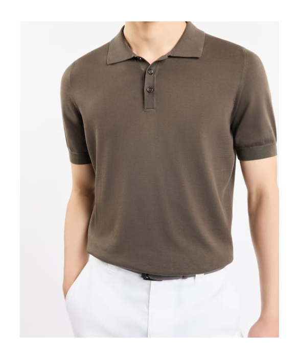 Fay Short-sleeve Polo Shirt With Classic Collar In Brown