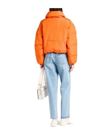 Isabel Marant Solid Color High-neck Down Jacket In Orange