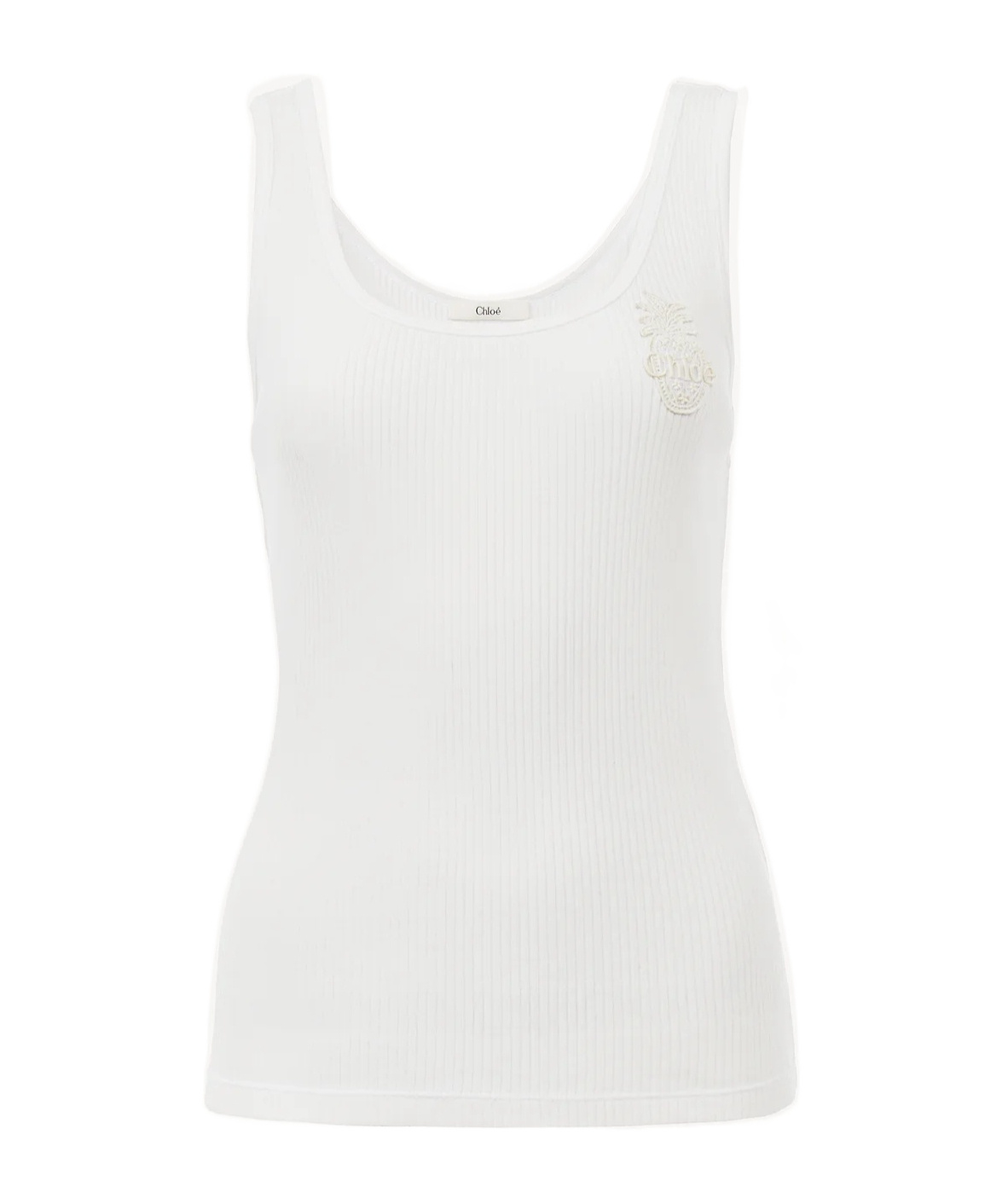 Chloé Broderie-anglaise Skirt In White