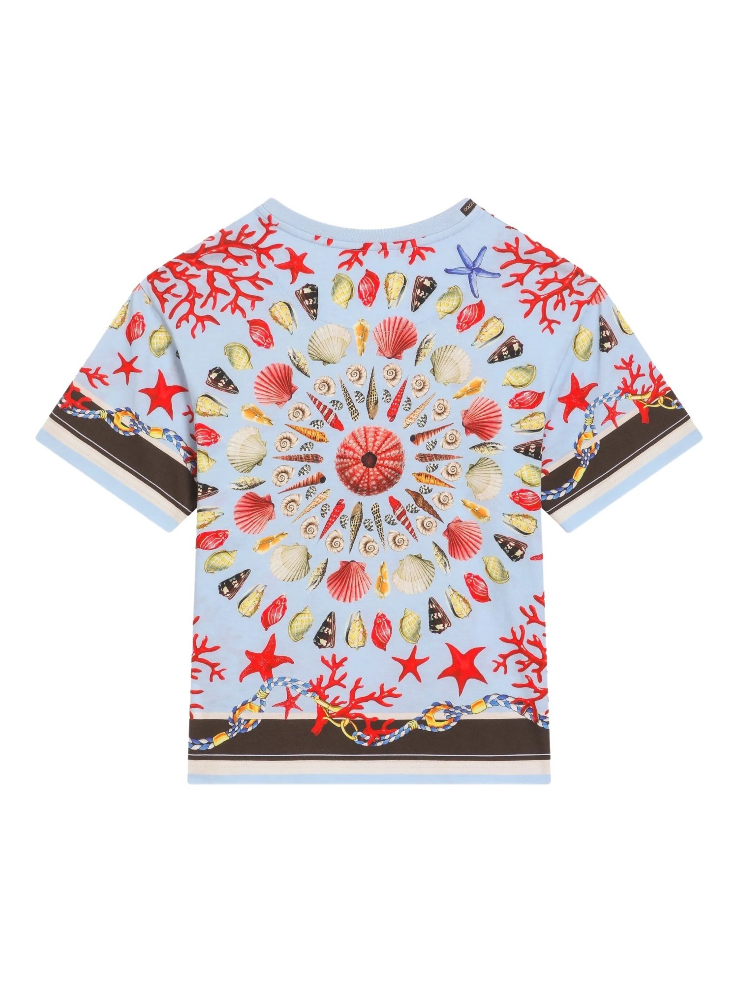 Dolce & Gabbana Shell-print T-shirt In Multi