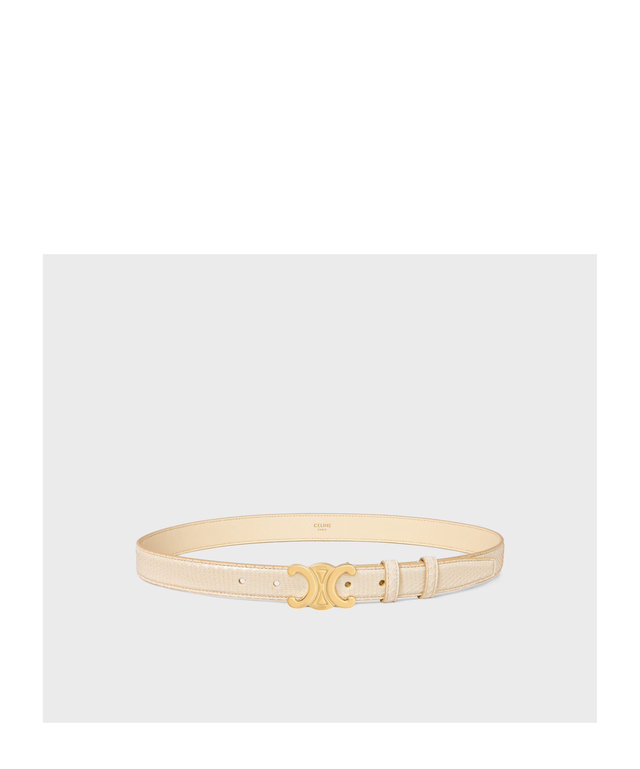 Celine Medium Logo Belt In Nude