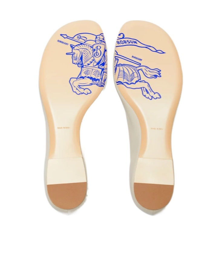Burberry Sadler Ballerina With Light Beige Leather Zip Women In Transparent