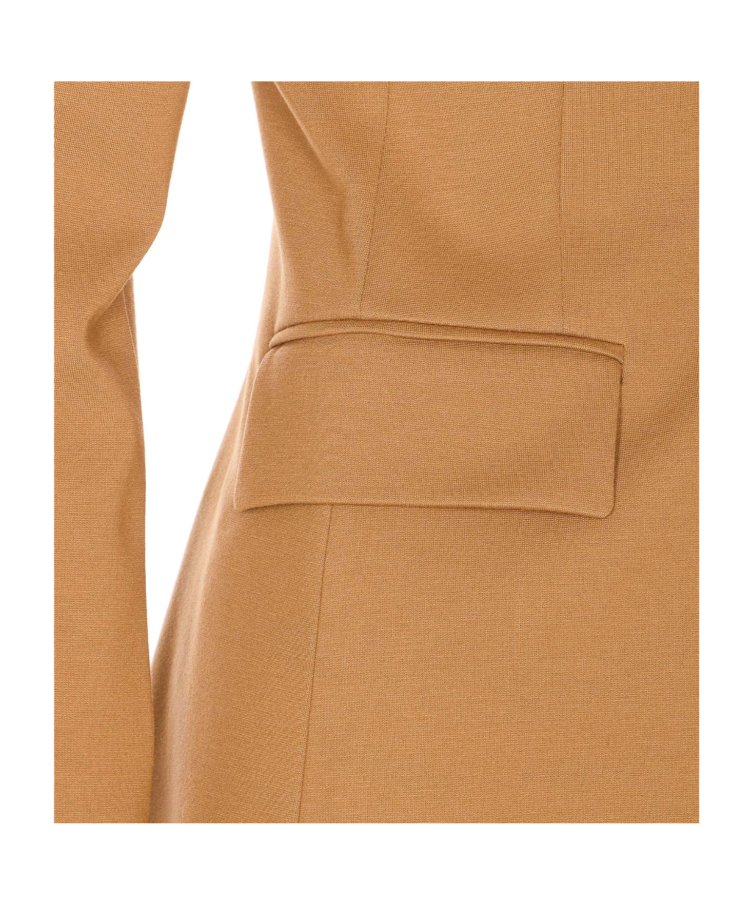 Pinko Structured Blazer With Long Sleeves And Back Vent In Brown