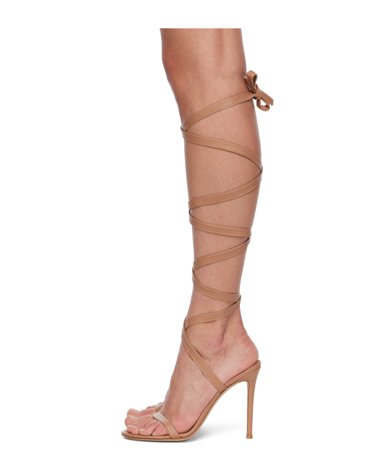 Gianvito Rossi Ssense Exclusive Pink Borneo Heeled Sandals In Pink