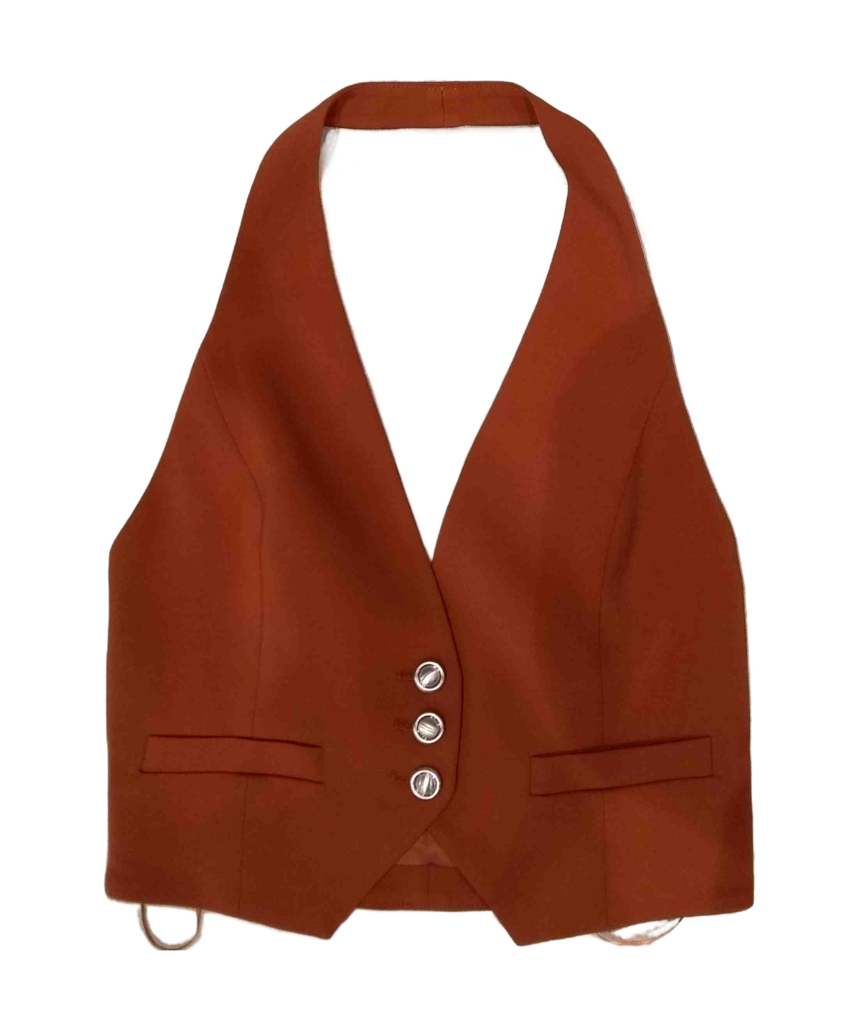 Pinko Sleeveless Vest In Brown