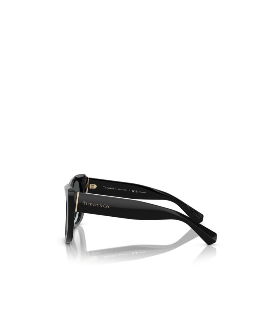 Tiffany & Co Geometric Frame Sunglasses In Black