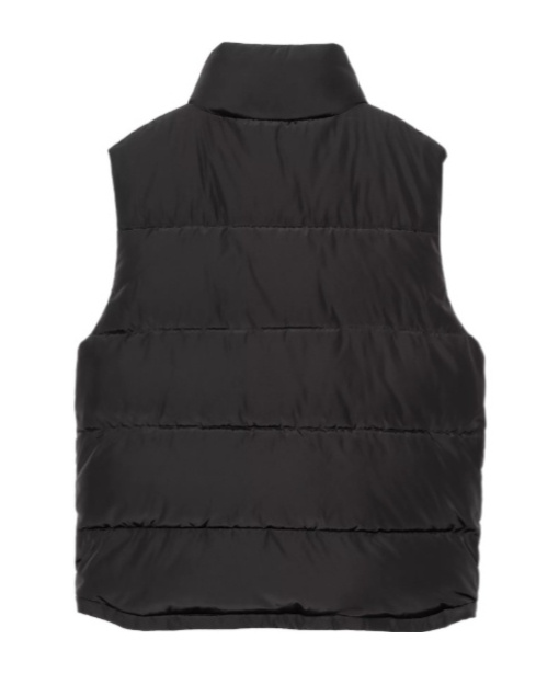 Carhartt Brent Vest In Black