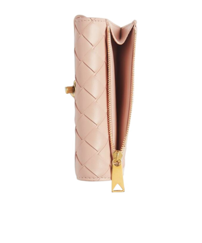 Bottega Veneta Andiamo Zipper Card Bag In Nude
