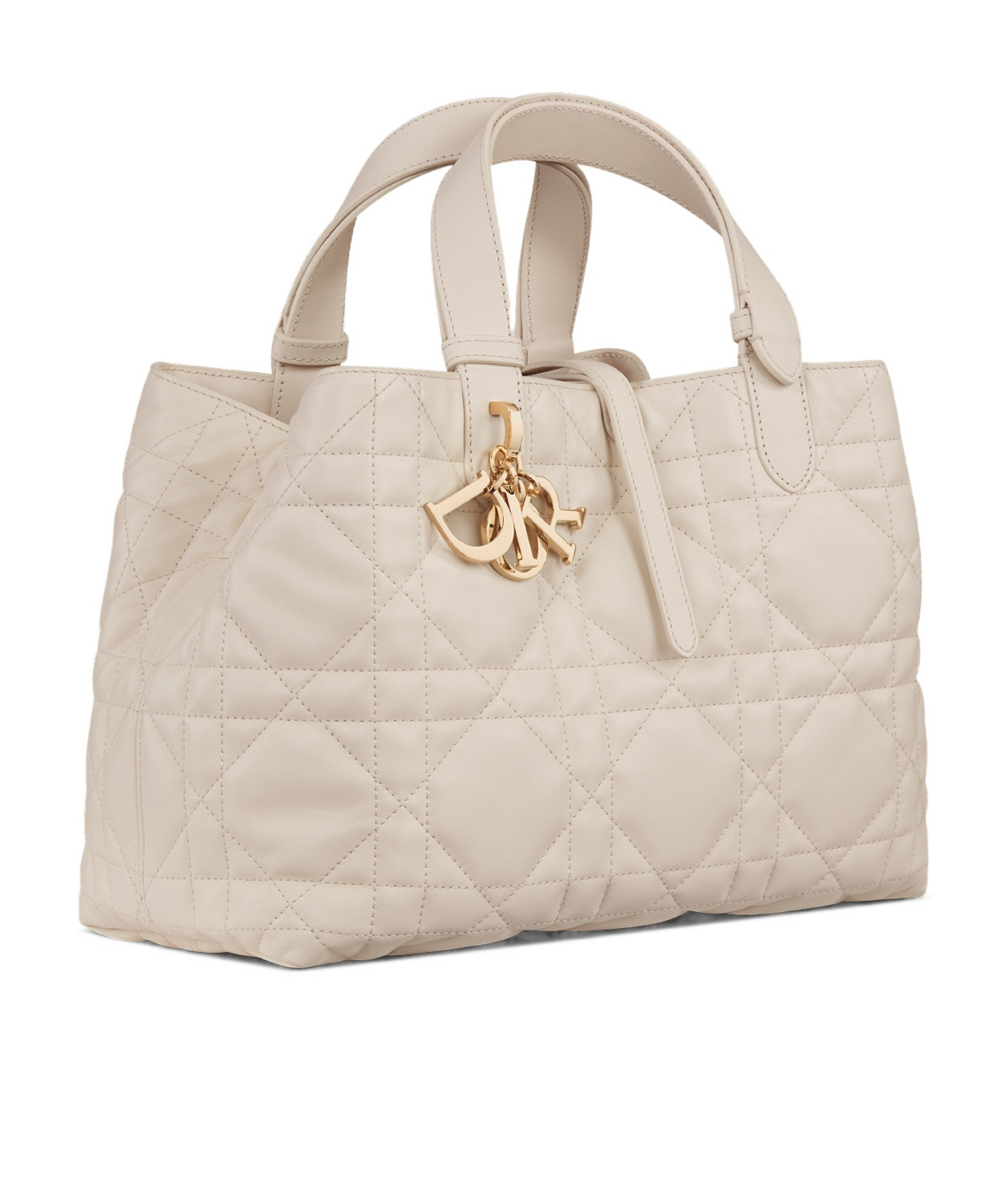 Dior Medium Toujours Shoulder Bag