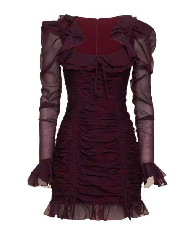 Alessandra Rich Leopard Print Silk Georgette Mini Dress In Burgundy