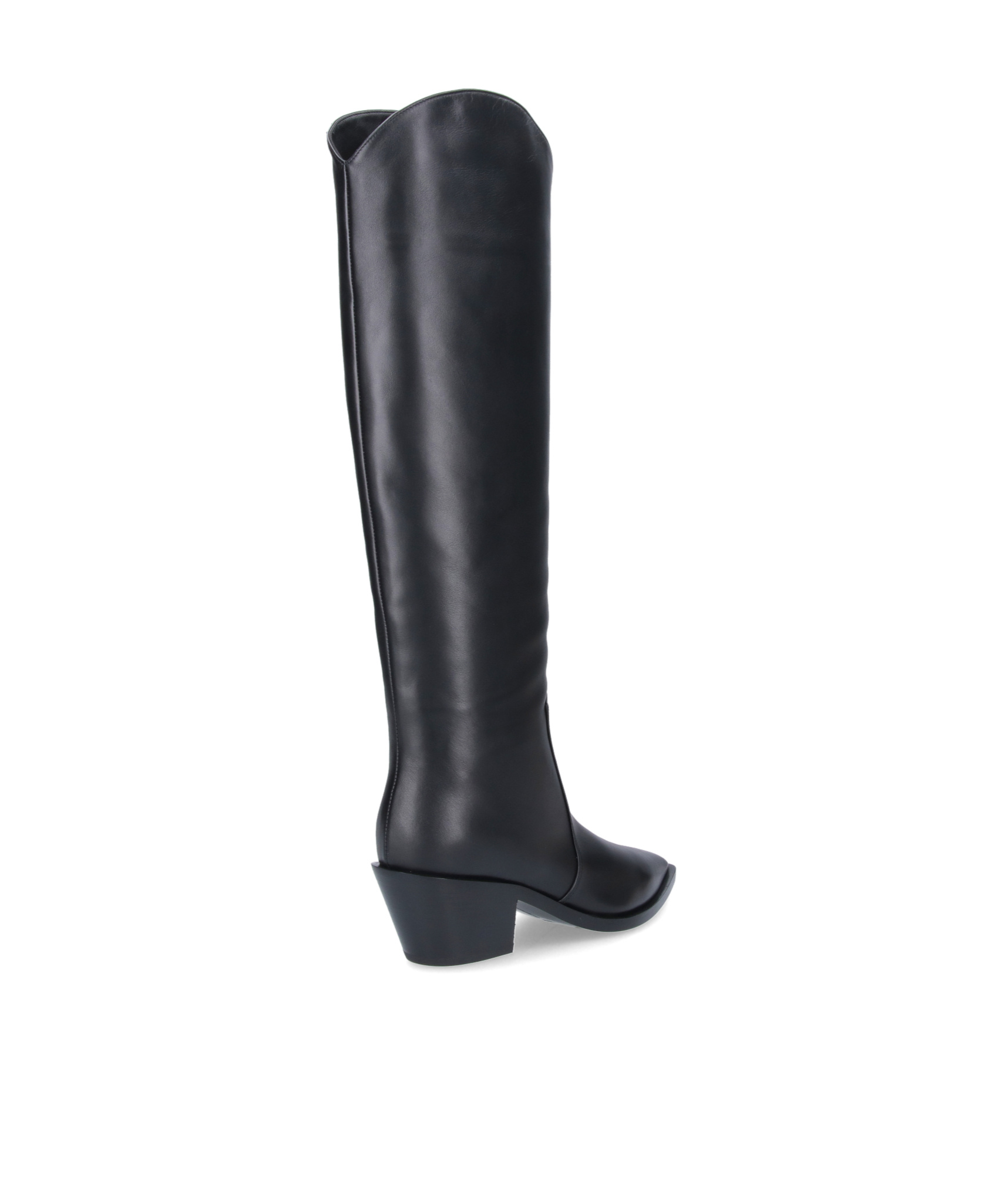 Gianvito Rossi Pointed Boots In Black