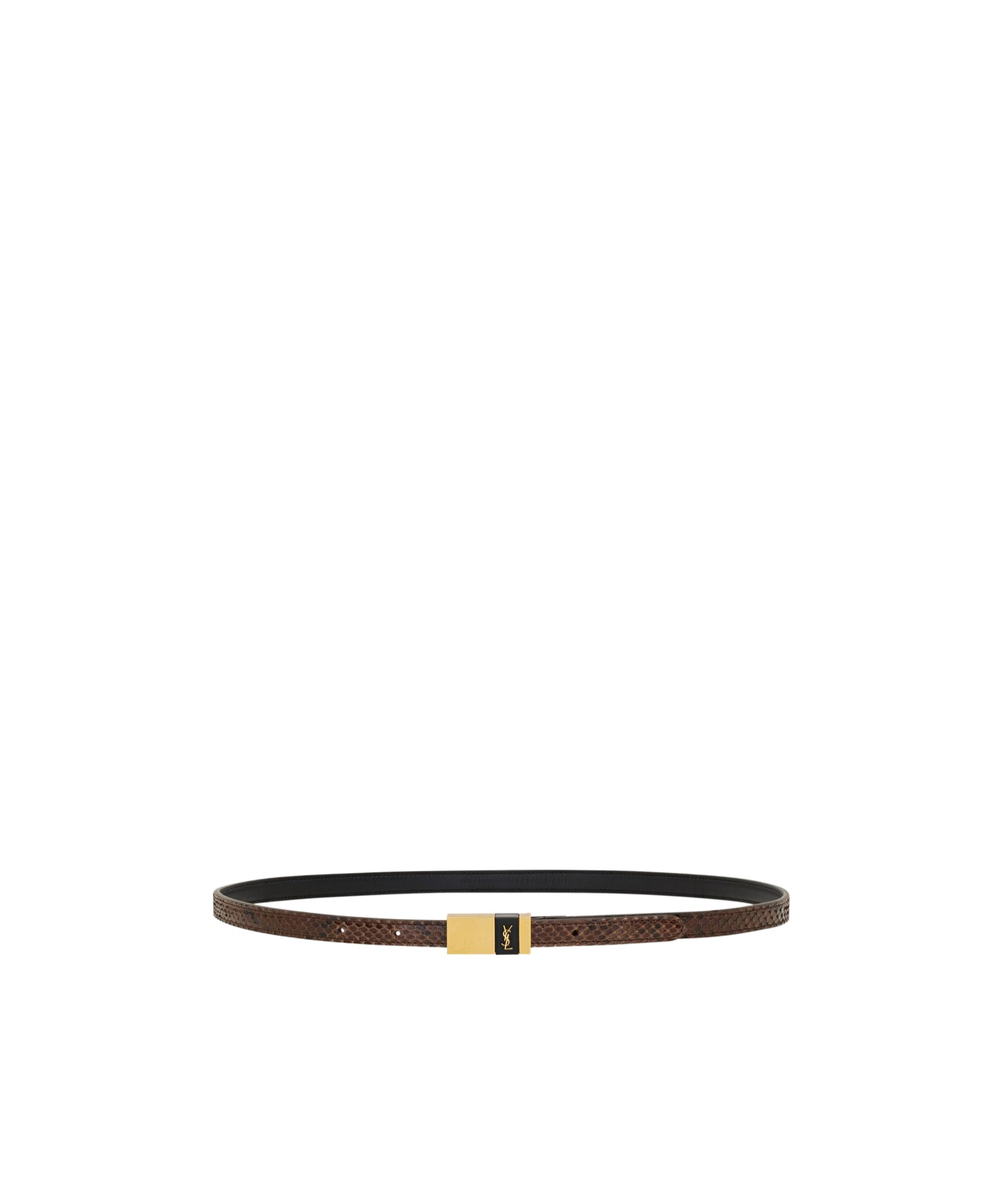 Saint Laurent Thin Anchor Belt In Python In Lava