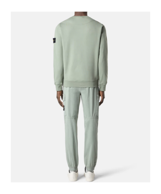 Stone Island 3100313 Supima Cotton Twill Stretch-tc In Green