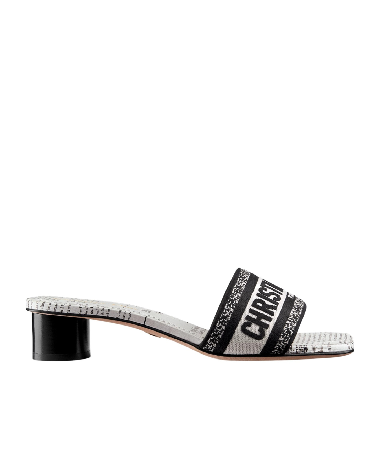 Dior Dway Heeled Slide In Black