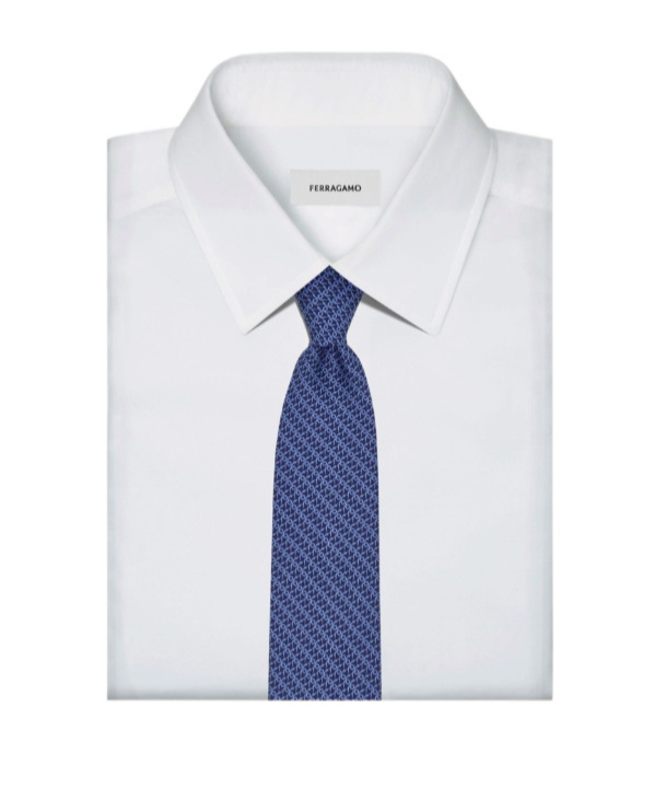 Ferragamo Mamba Print Tie In Blue