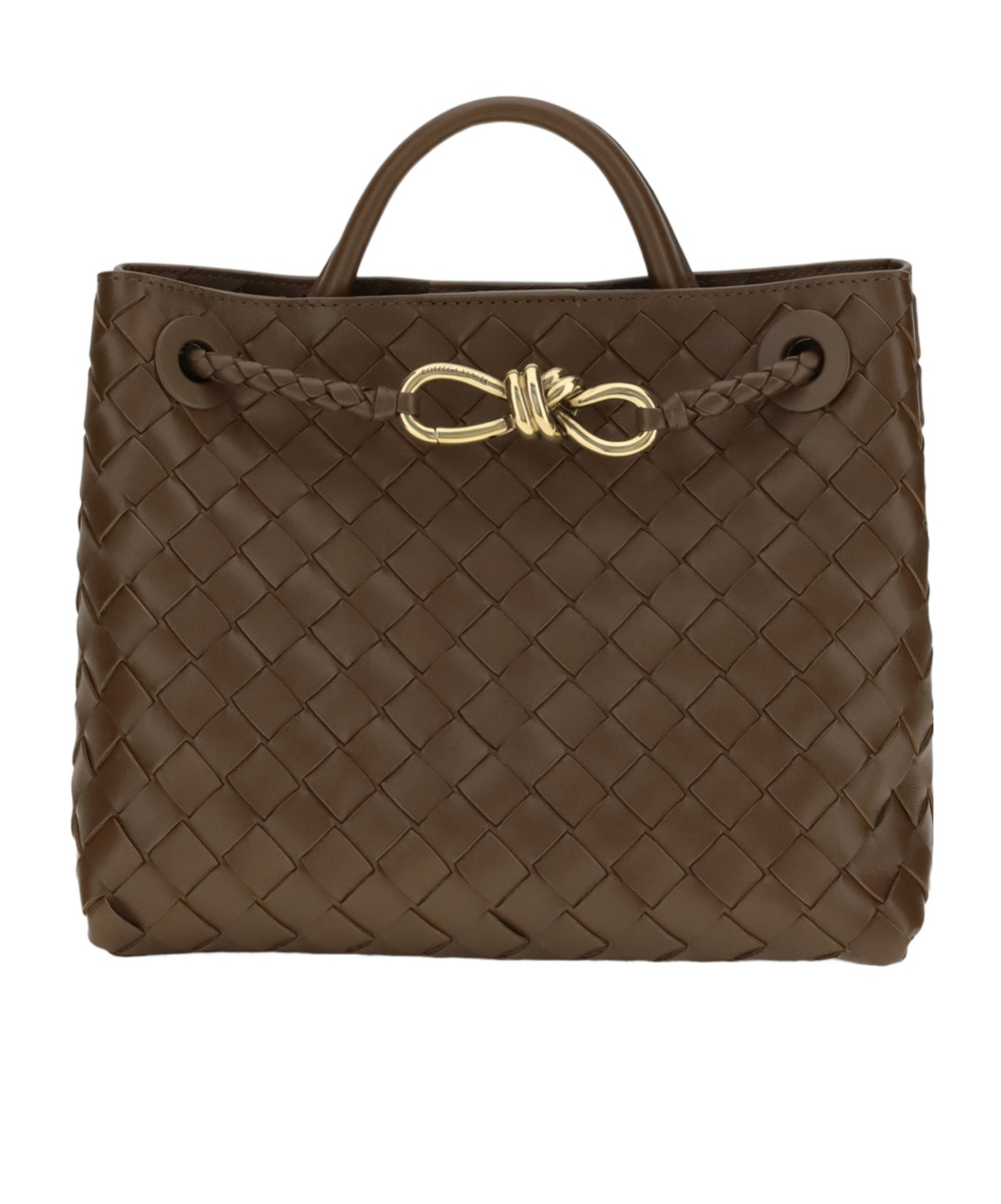 Bottega Veneta Small Andiamo In Brown