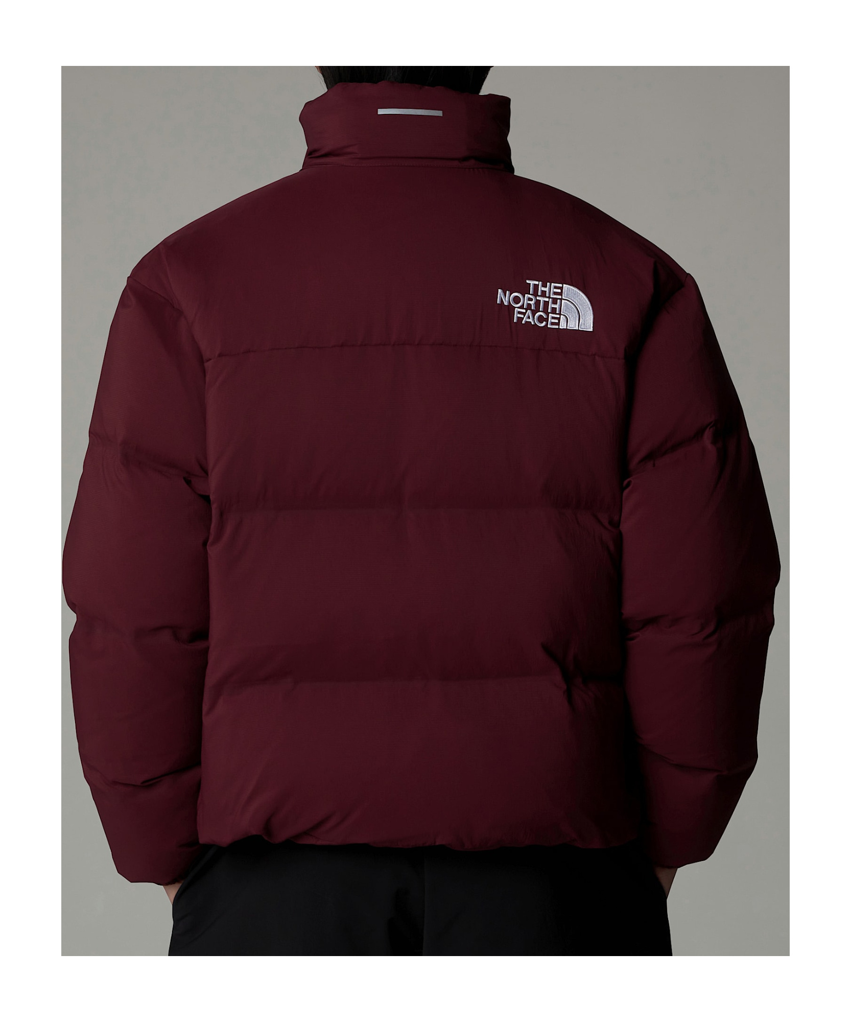 The North Face Long-sleeved Down Jacket In Brown