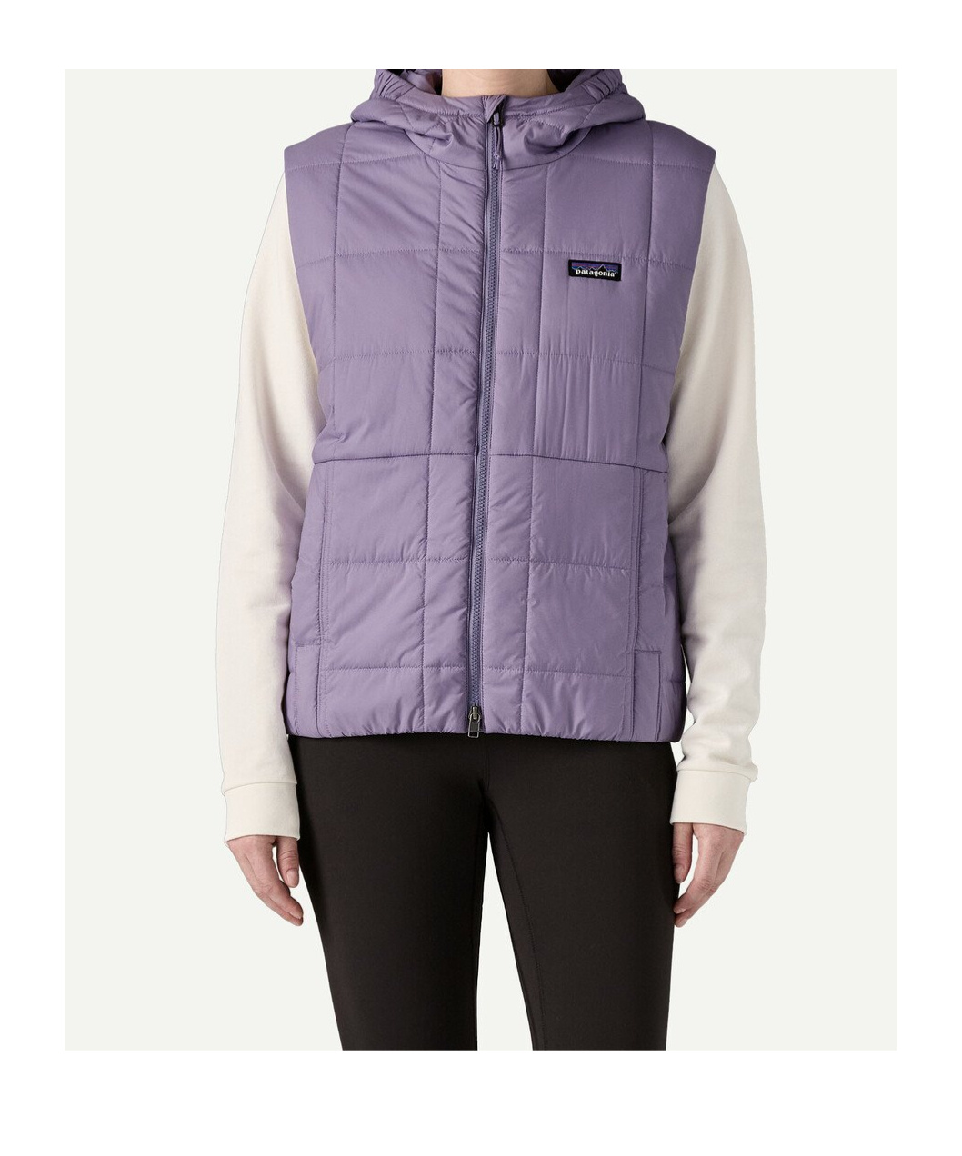 Patagonia Hooded Vest In Purple
