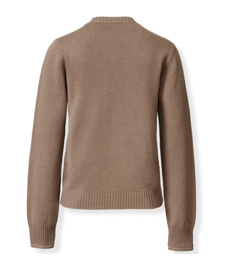 Fabiana Filippi Sweaters Corteccia In Brown