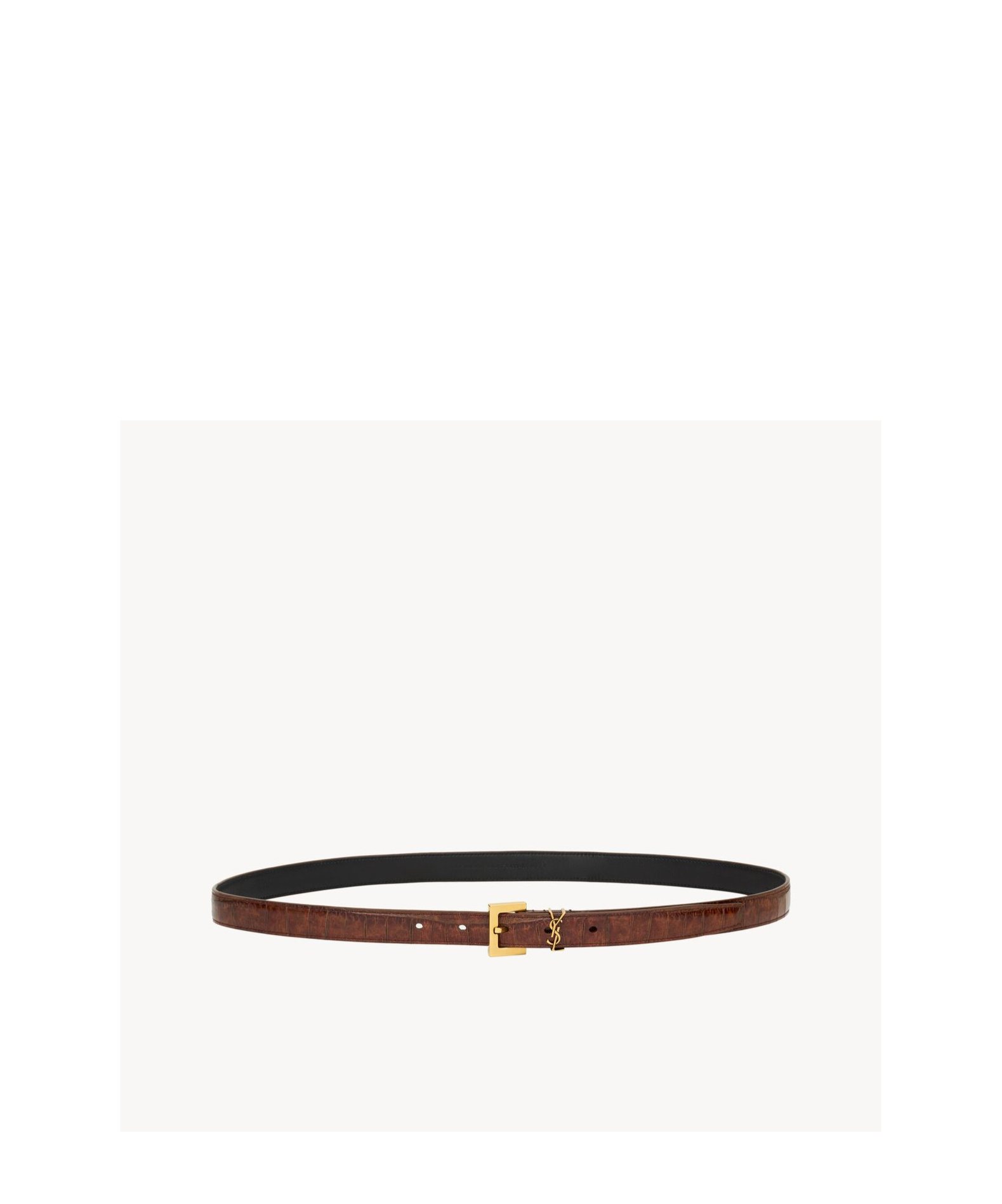 Saint Laurent Logo Belt In Plant Brown