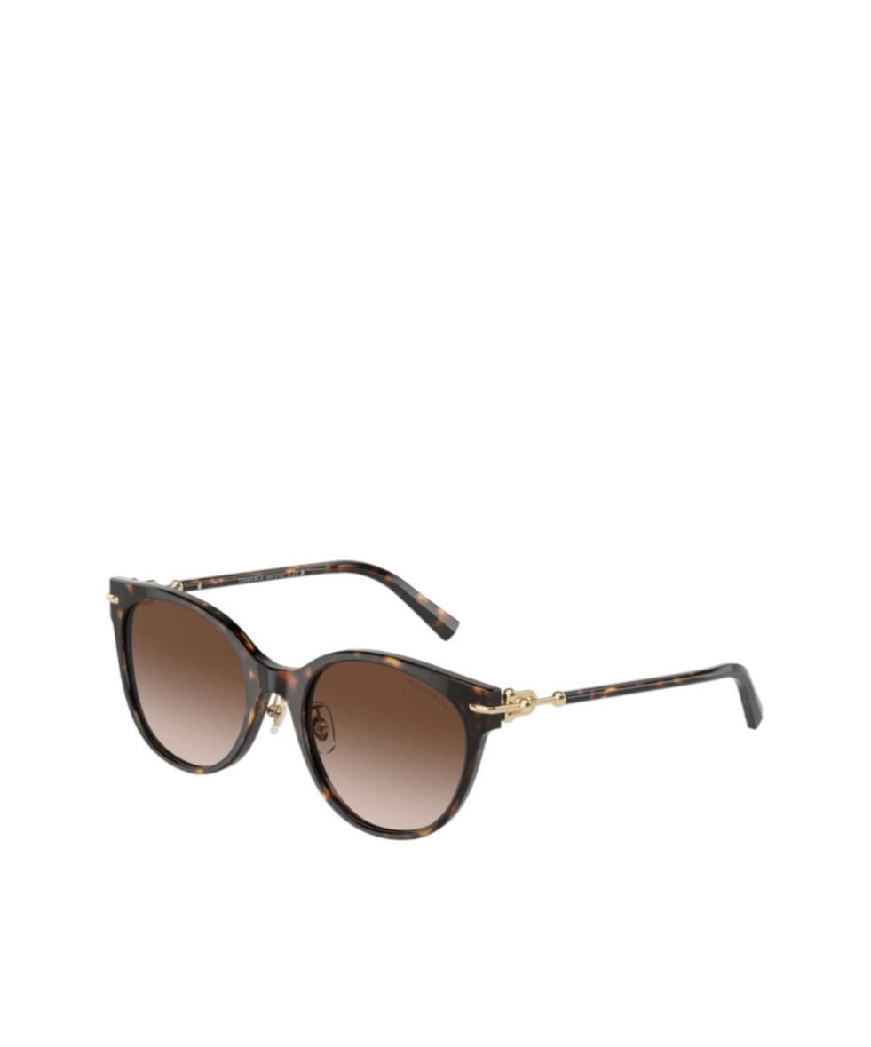 Tiffany & Co Tiffany Co. Panthos Frame Sunglasses In Black