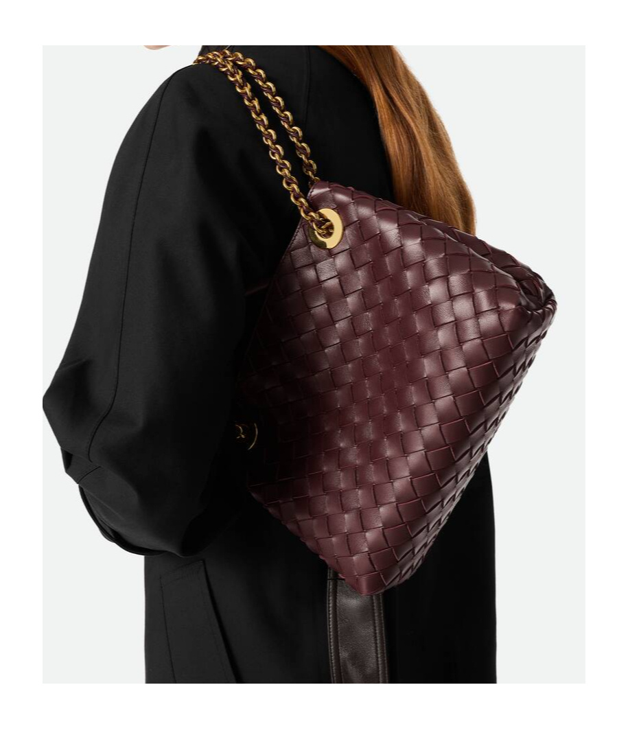 Bottega Veneta Small Andiamo Chain In Brown