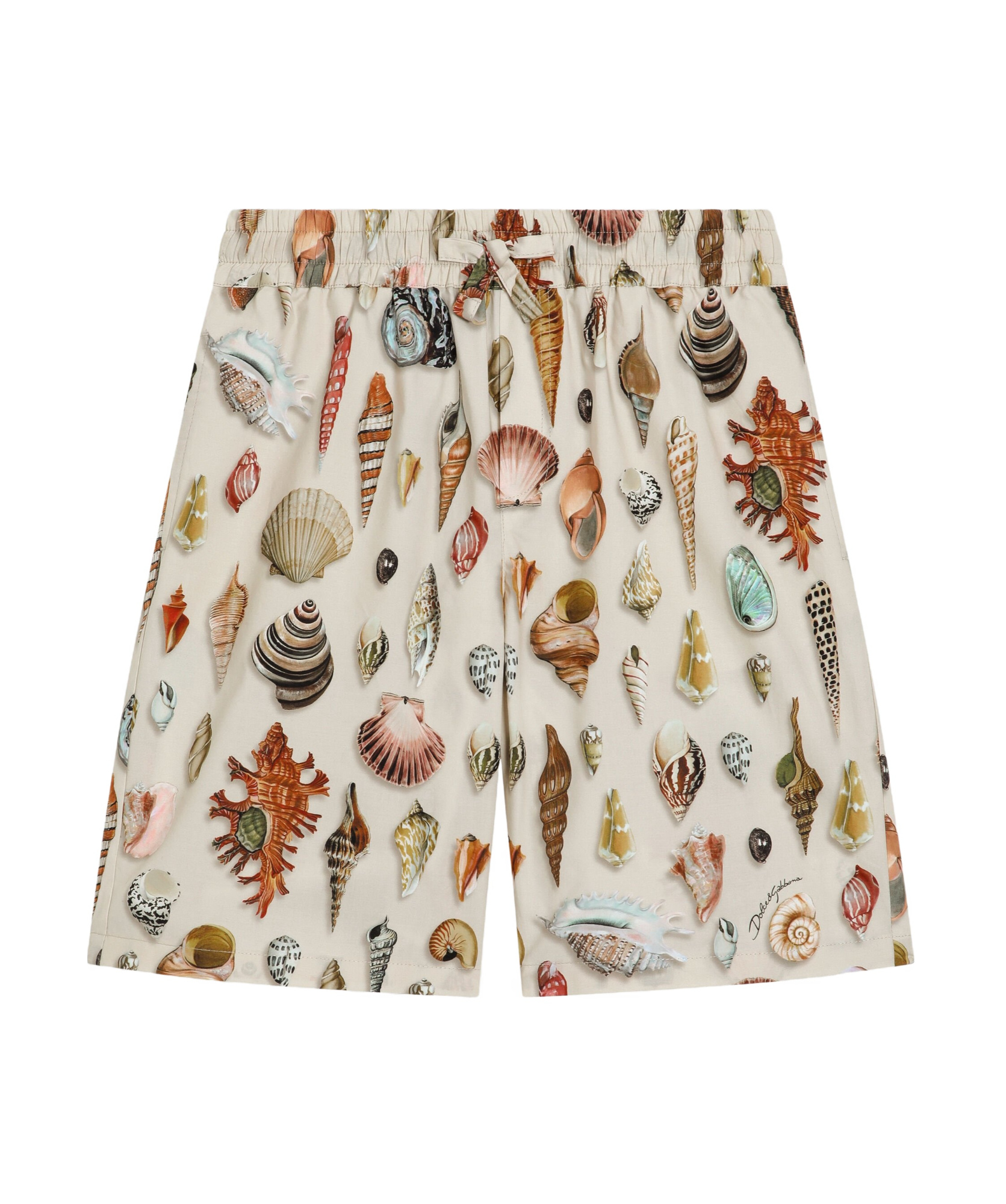 Dolce & Gabbana Printed Shorts In Multi