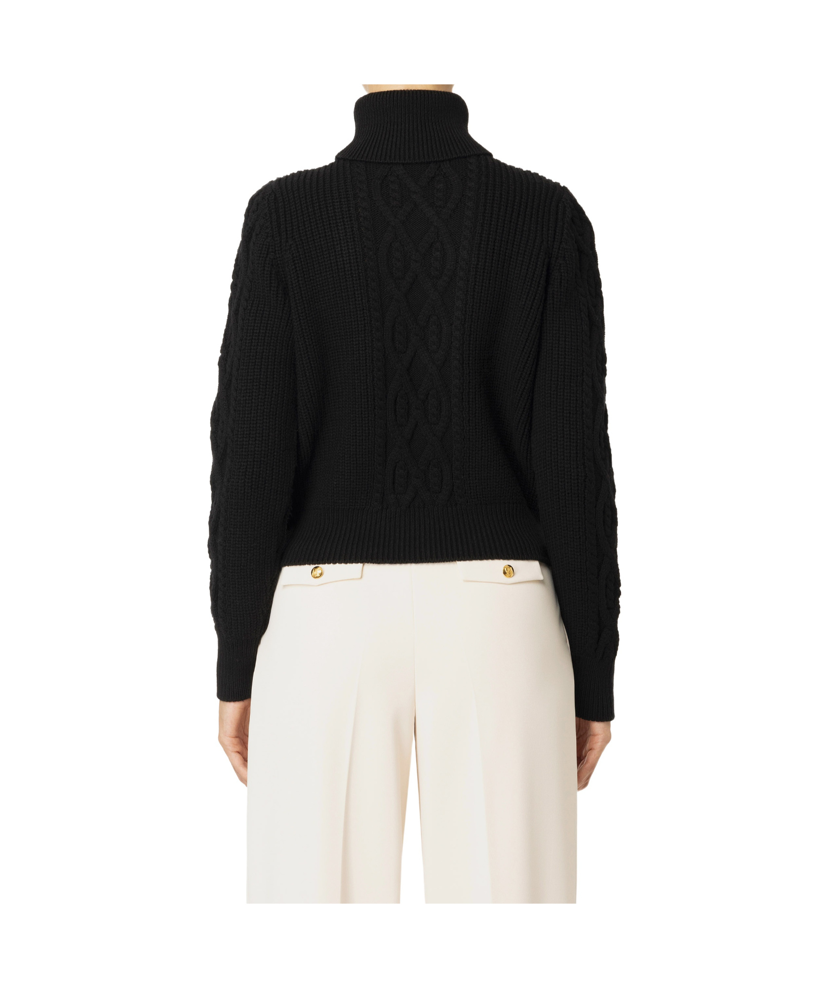 Elisabetta Franchi Roll-neck Wool Jumper In Black