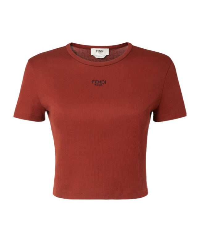 Fendi Embroidered Logo Short Sleeve Top In Brown