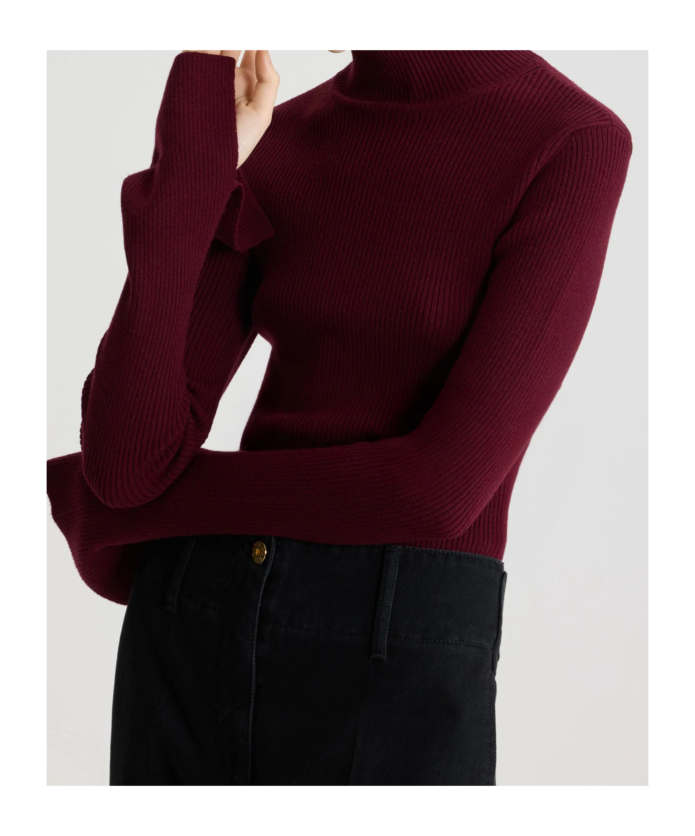 Patou Turtleneck Ribbed Sweater In Burgundy