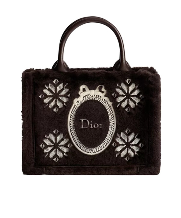 Dior Alps Mini  Book Tote With Strap In Brown
