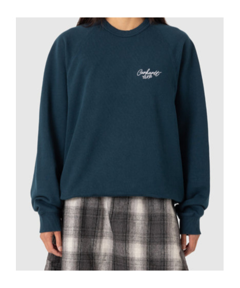 Carhartt Signature Sweatshirt In Black