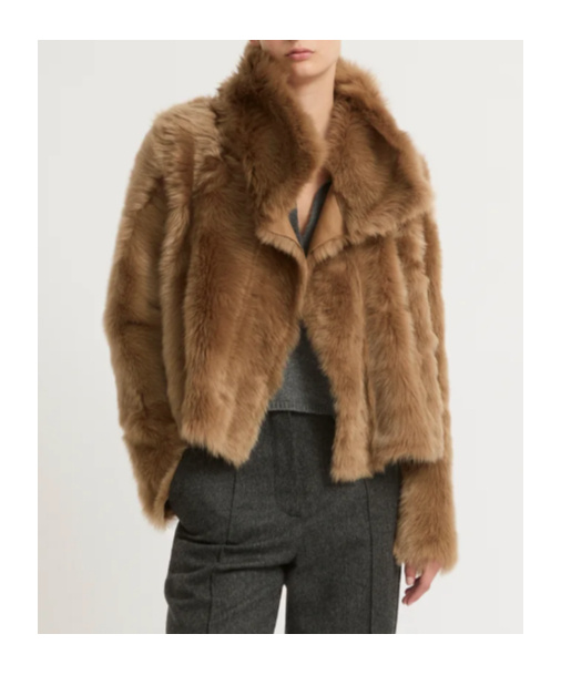 Shop Yves Salomon Shearling Stand Up-collar Jacket In Brown