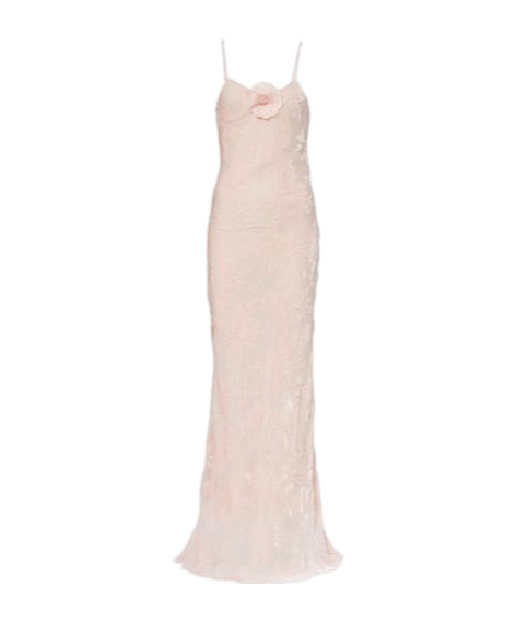 Rodarte Floral-appliqué Velvet Slip Dress In Nude