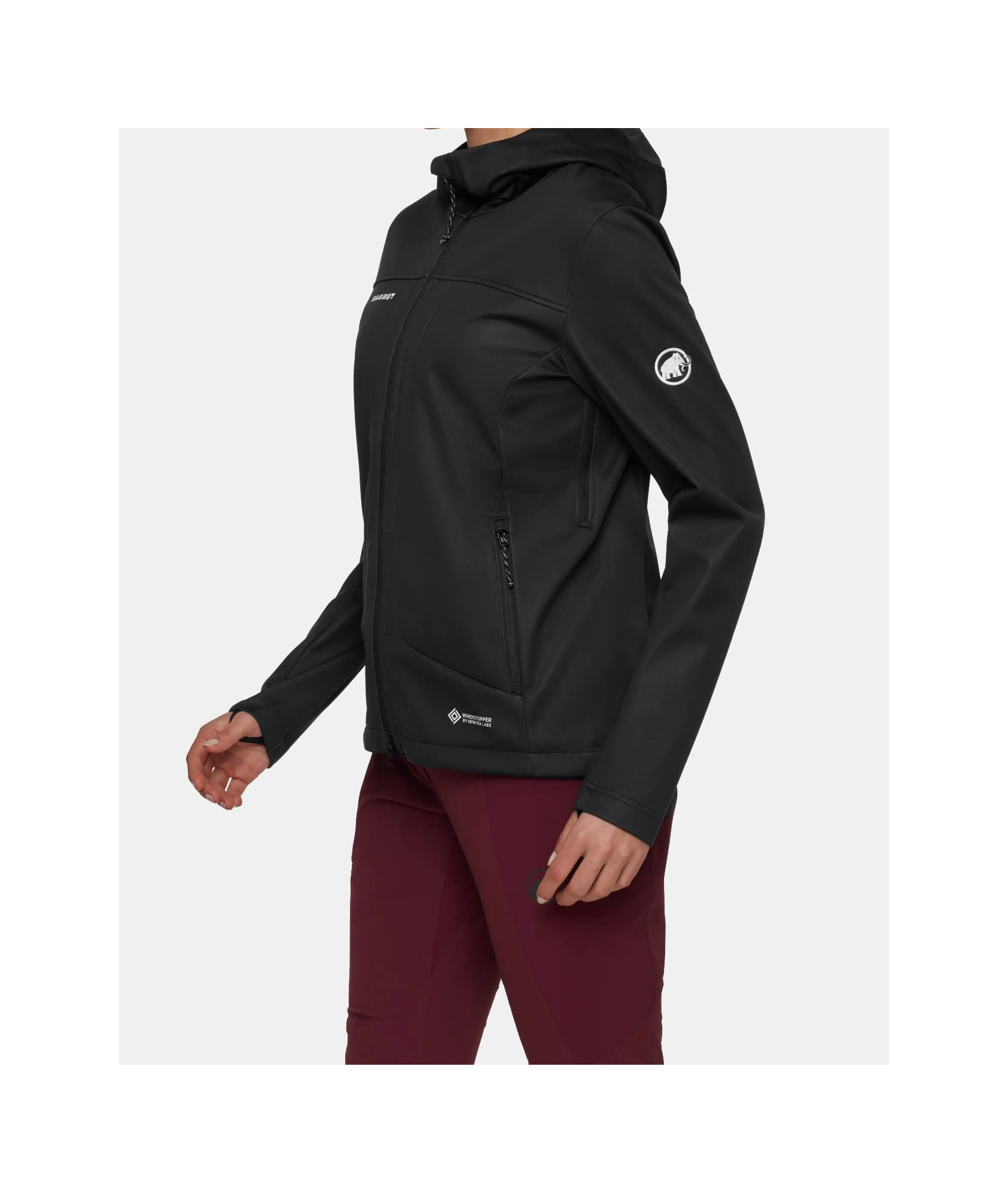 Mammut Hooded Jacket In Black