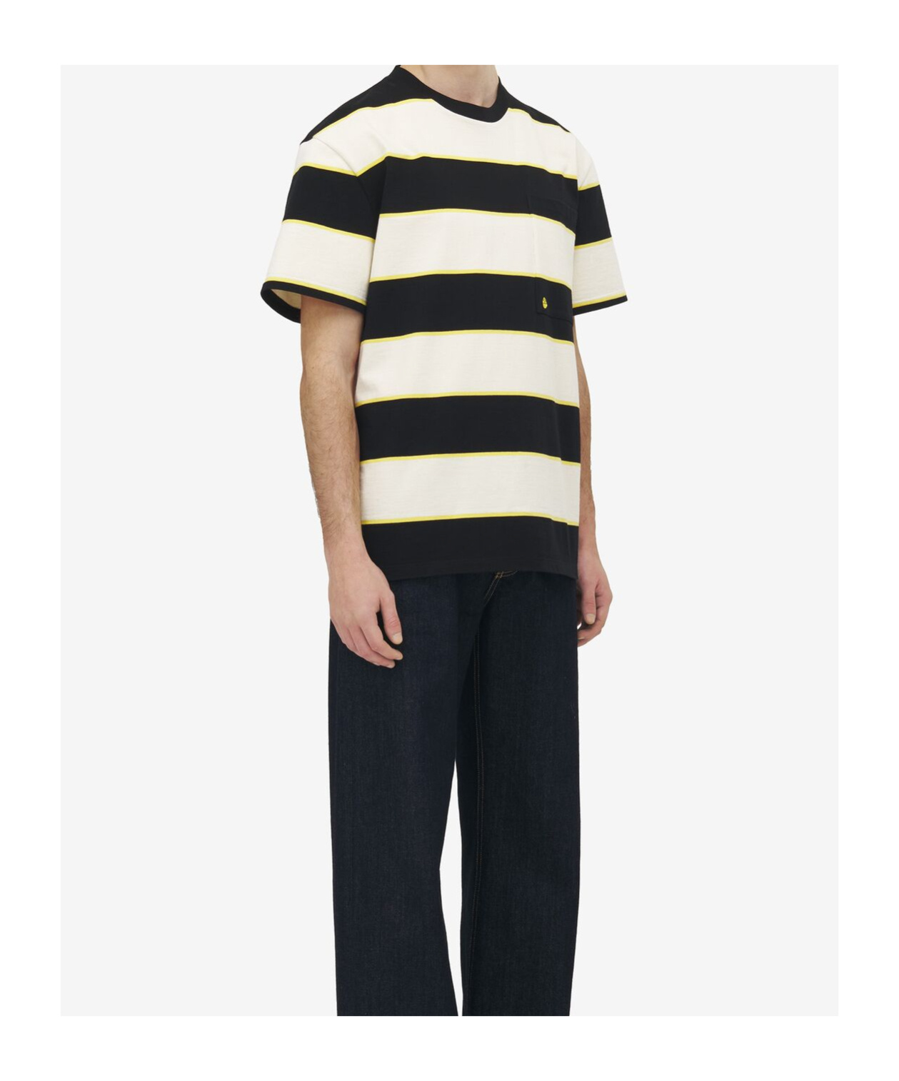 Alexander Mcqueen Inverted Skull Striped T-shirt In Black