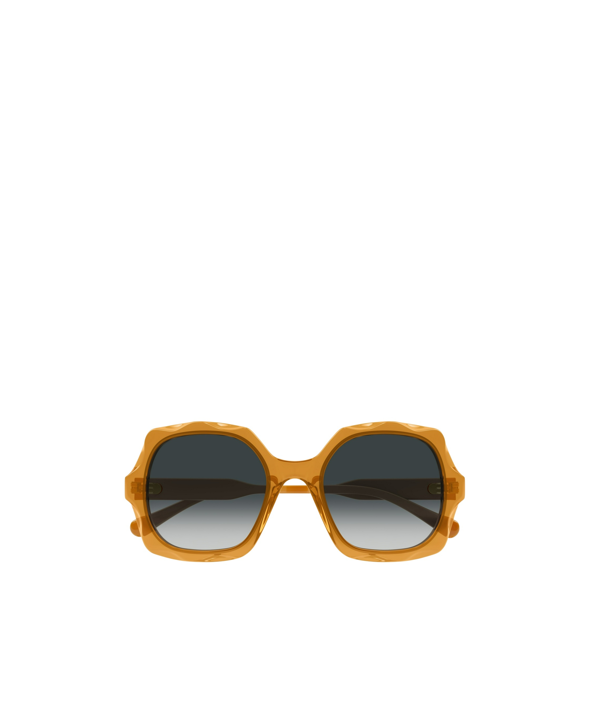 Chloé Ch0226s 004 In Black